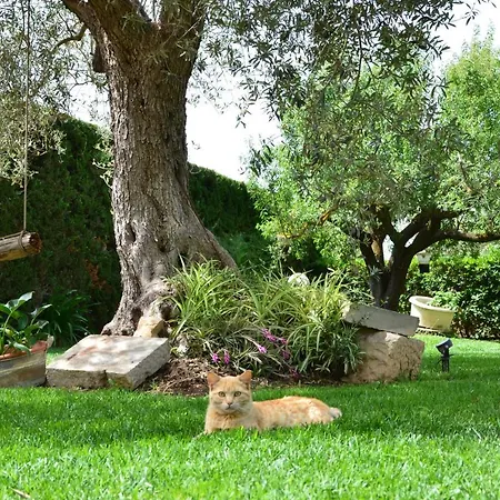 Βίλα Exlusive Pool - Cascina Relais